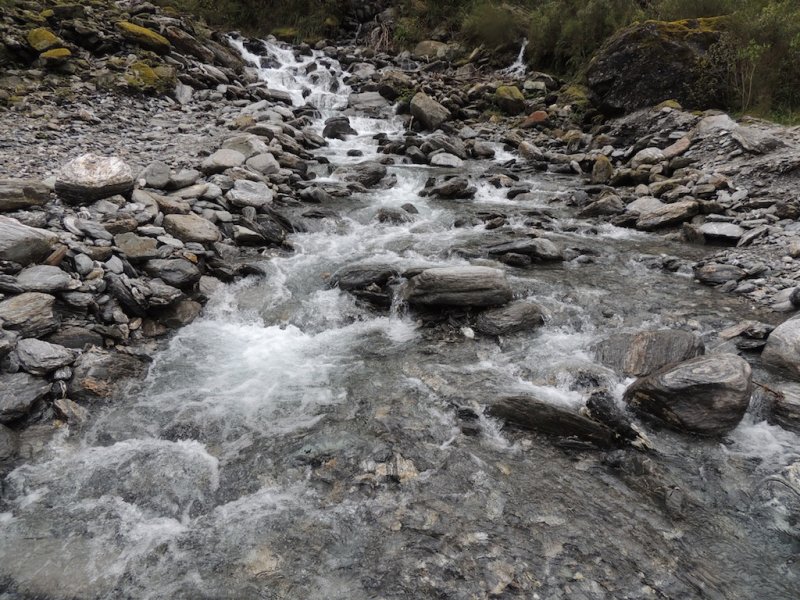 DSCN5349.JPG