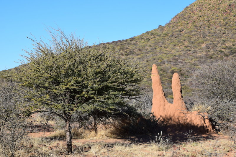 DSC_3235.JPG