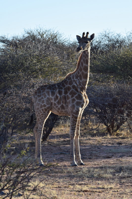 DSC_3256.JPG