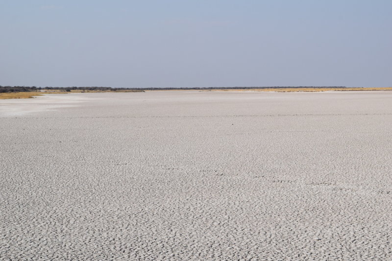 DSC_3947.JPG