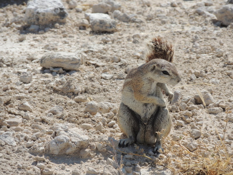 DSCN7130.JPG