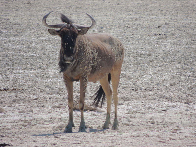DSCN7313.JPG