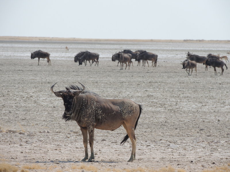 DSCN7316.JPG