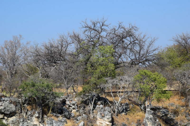 DSC_4055.JPG