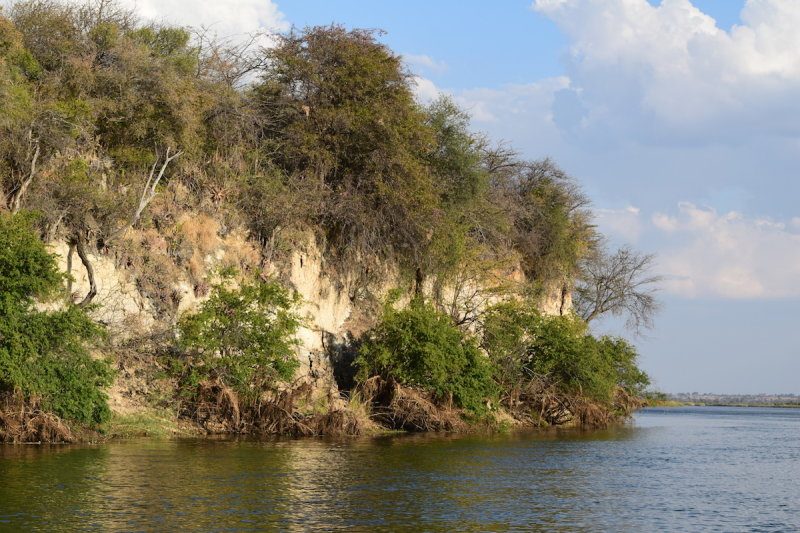 DSC_4090.JPG