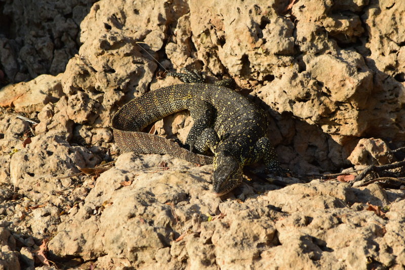 DSC_4107.JPG
