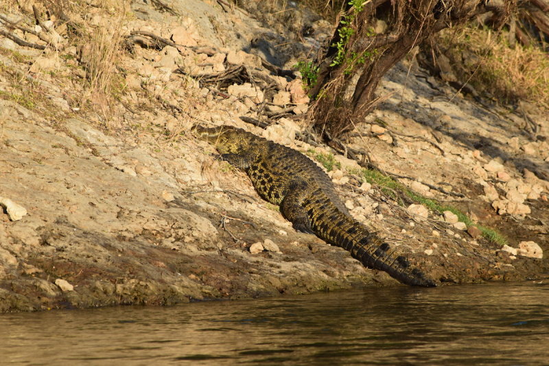 DSC_4116.JPG