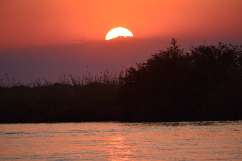 DSC_4210.JPG