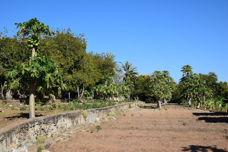 DSC_4247.JPG