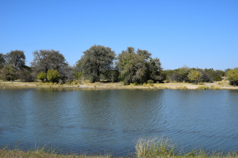 DSC_4251.JPG