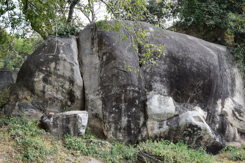 DSC_4264.JPG