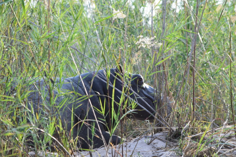 DSC_4317.JPG