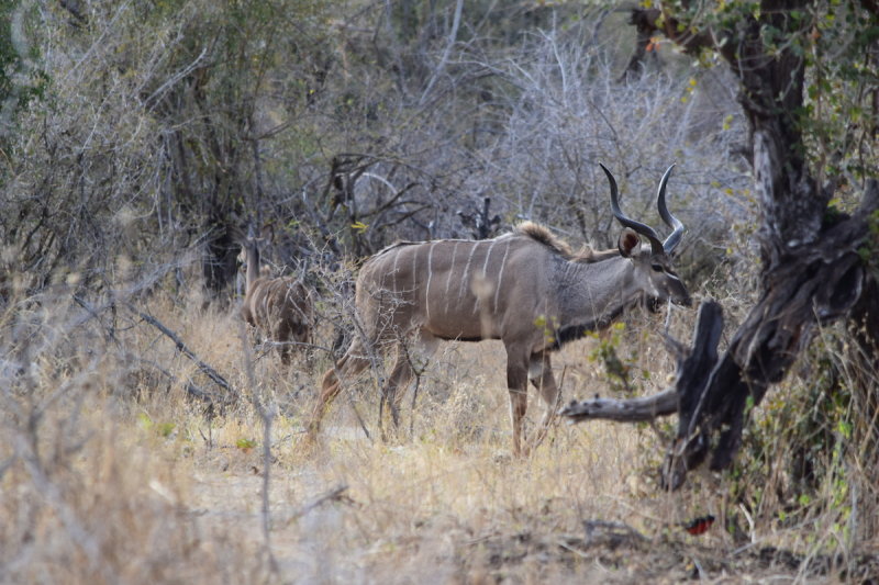 DSC_4625.JPG