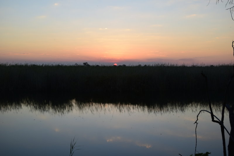 DSC_4740.JPG