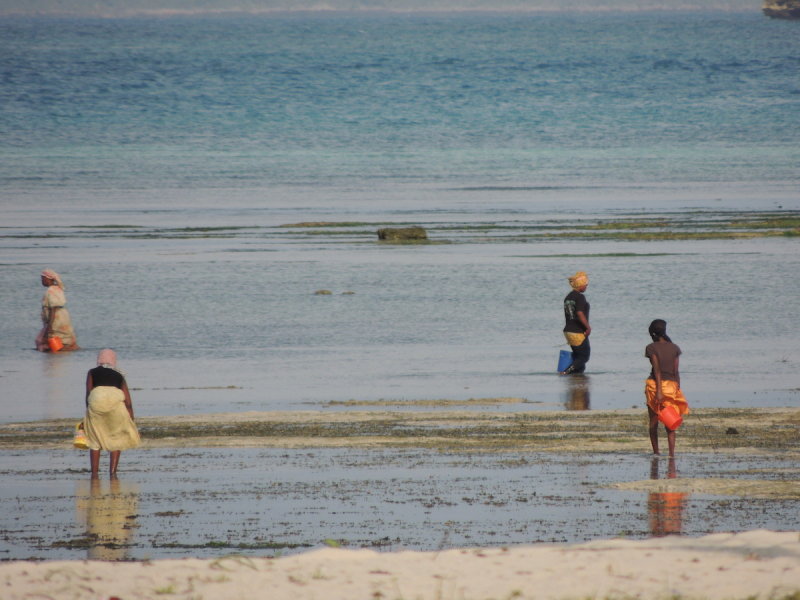 DSCN8001.JPG