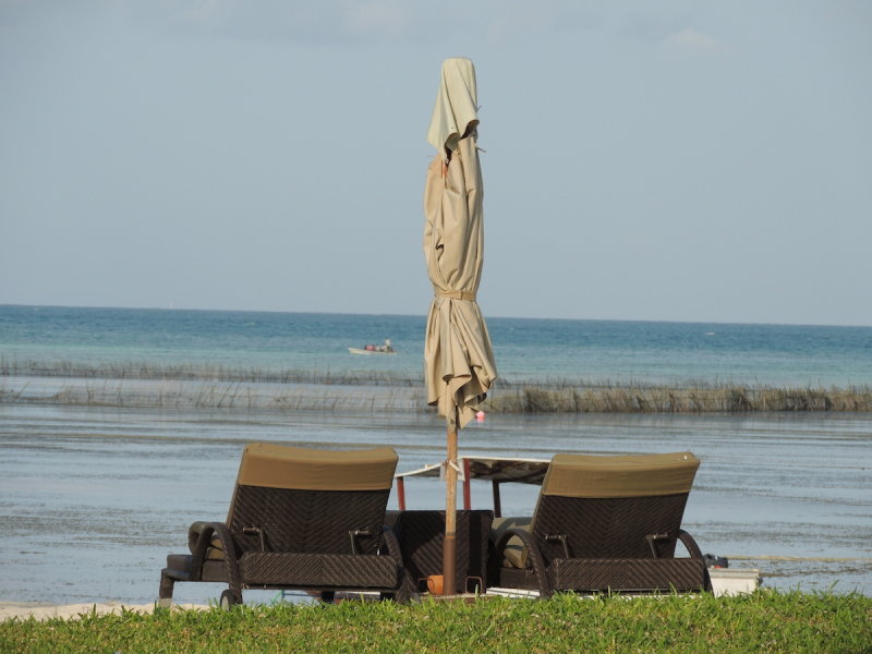 DSCN8005.JPG