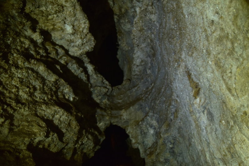 DSC_6170.JPG