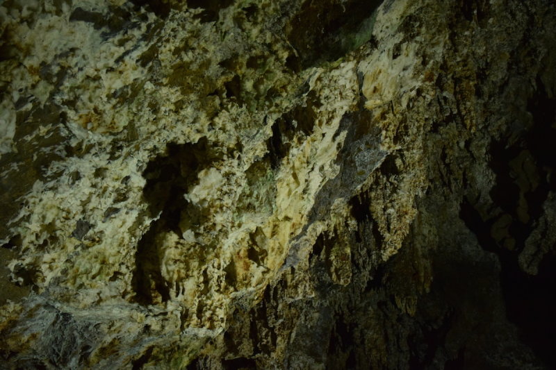 DSC_6180.JPG