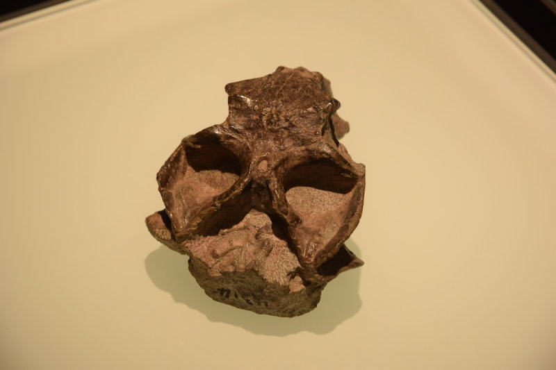 DSC_6220.JPG
