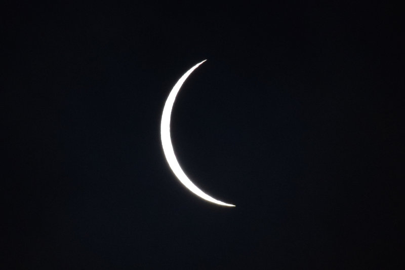 DSC_9088A.jpg