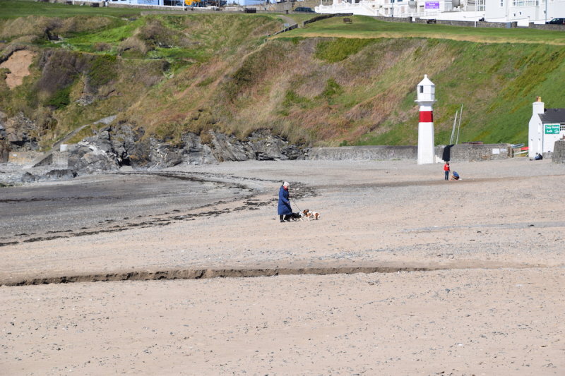 DSC_1287.JPG