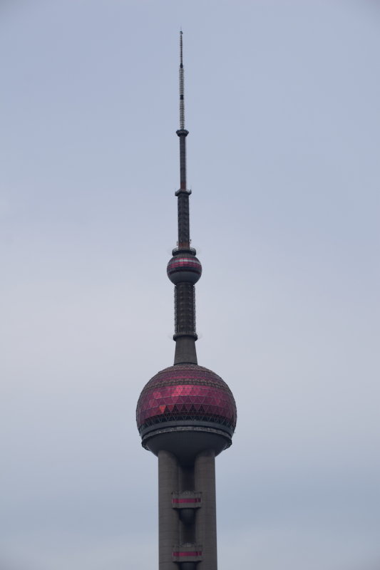 DSC_7813.JPG