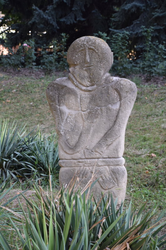 DSC_8584.JPG