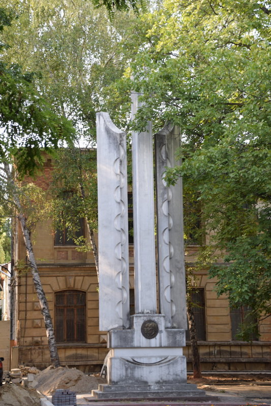 DSC_8597.JPG