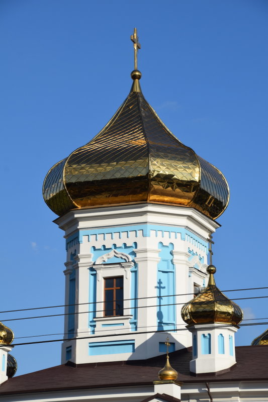 DSC_8654.JPG