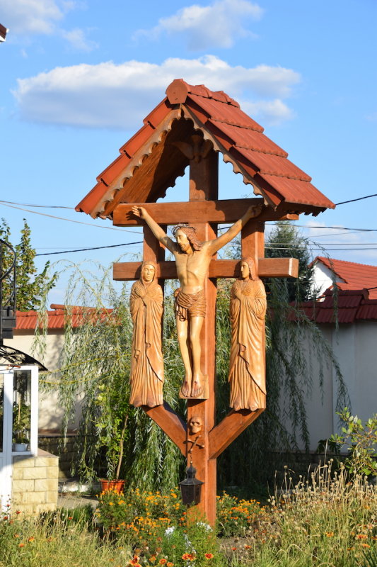 DSC_8664.JPG