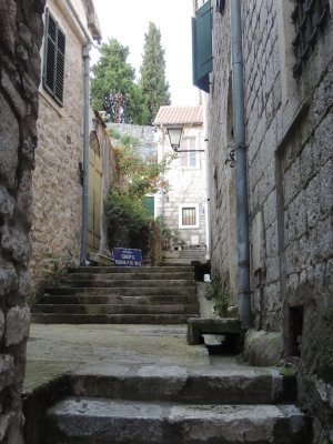 DSCN9966.JPG