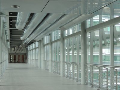 DSCN8730.JPG