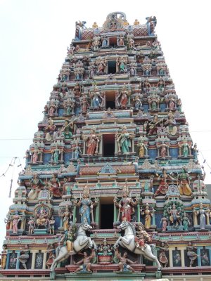 DSCN8803.JPG