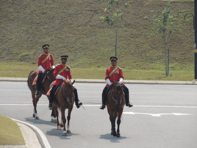 DSCN8881.JPG
