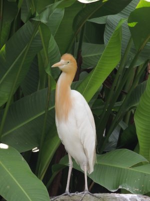 DSCN8909.JPG