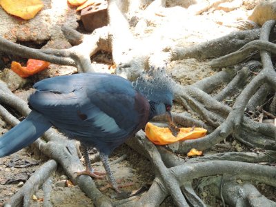 DSCN8918.JPG