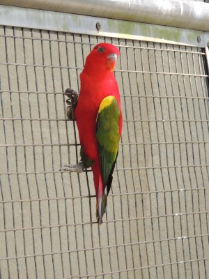 DSCN8927.JPG
