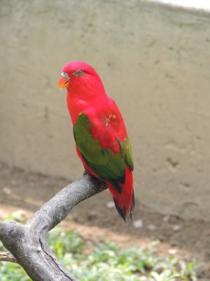 DSCN8929.JPG