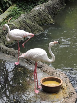 DSCN8941.JPG