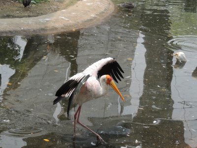 DSCN8960.JPG