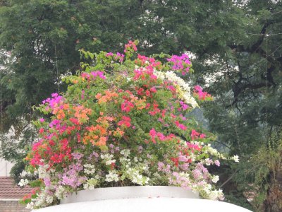 DSCN8975.JPG