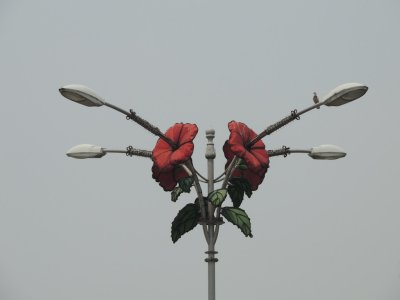 DSCN8989.JPG