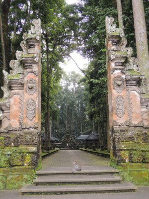 DSCN9355.JPG