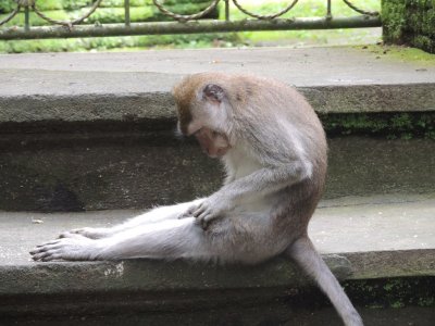 DSCN9371.JPG