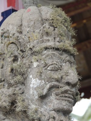 DSCN9698.JPG
