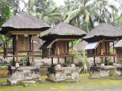 DSCN9702.JPG