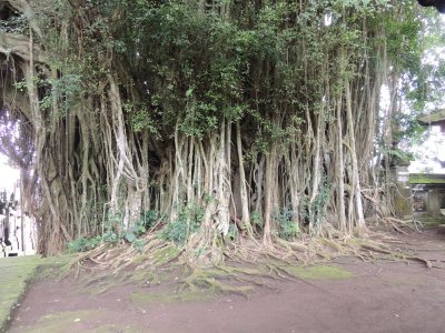 DSCN9708.JPG