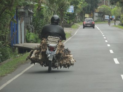 DSCN9715.JPG