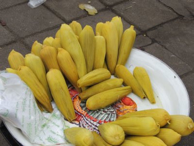 DSCN9876.JPG