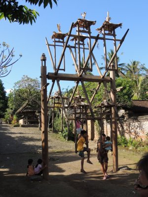 DSCN0012.JPG